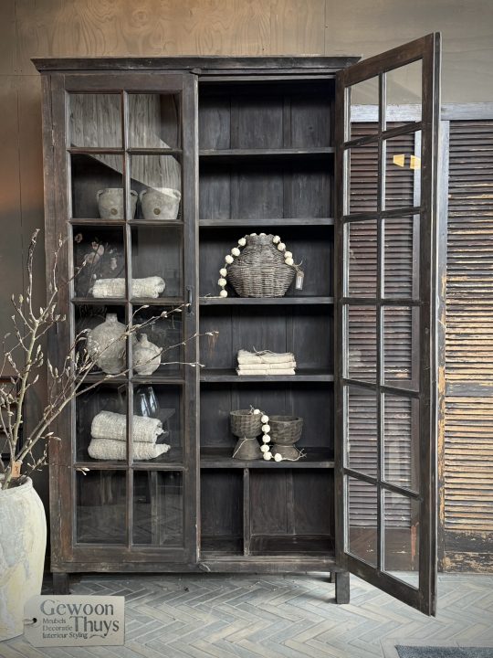 India - unieke landelijke vitrine kast H.230