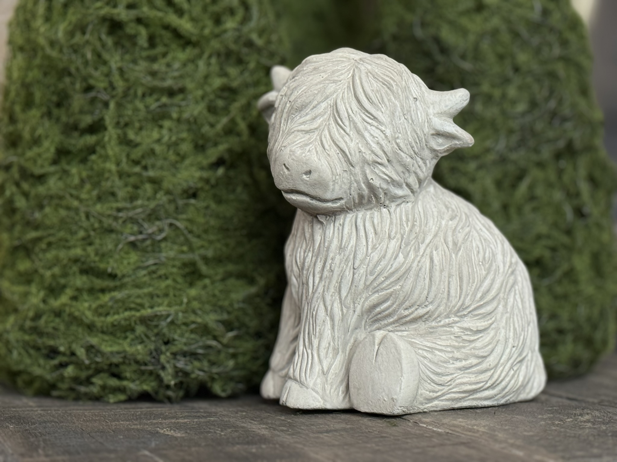 Schotse hooglander zittend taupe - Afbeelding 3