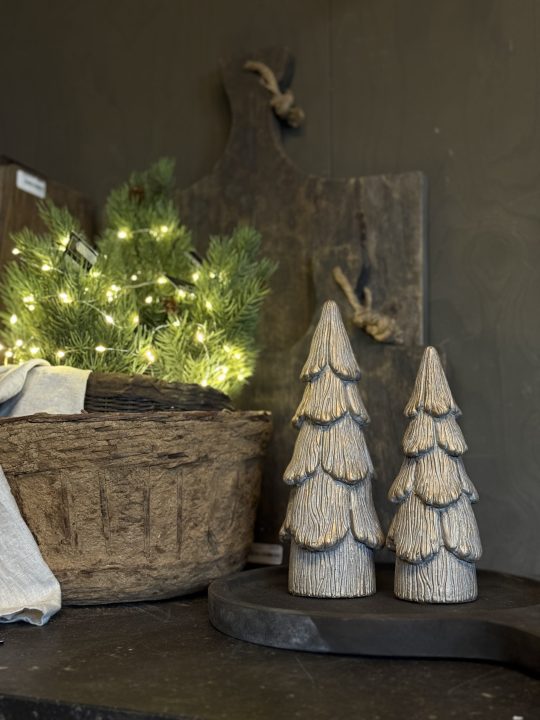 landelijke kerstboom